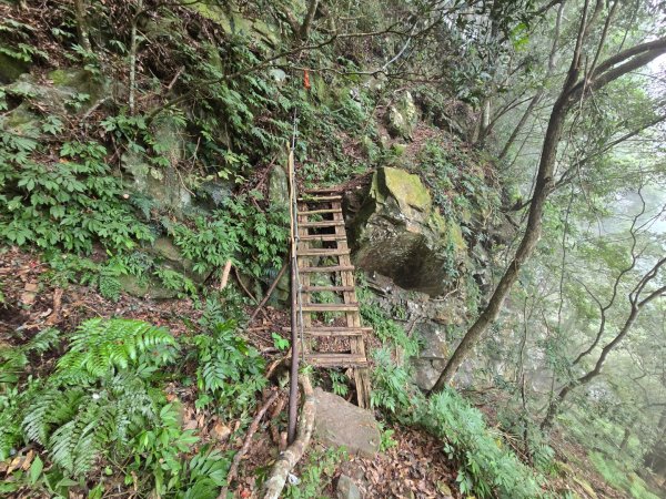 水雲三星～上島山（鳥嘴山）2931246