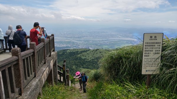 大屯山主峰1005962