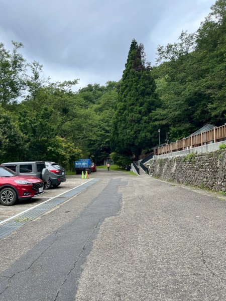 新竹 五峰 觀霧國家森林遊樂區 蜜月小徑+檜山巨木群步道2811442