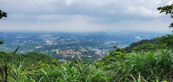 2023-06-10桃園石門山步道2177592