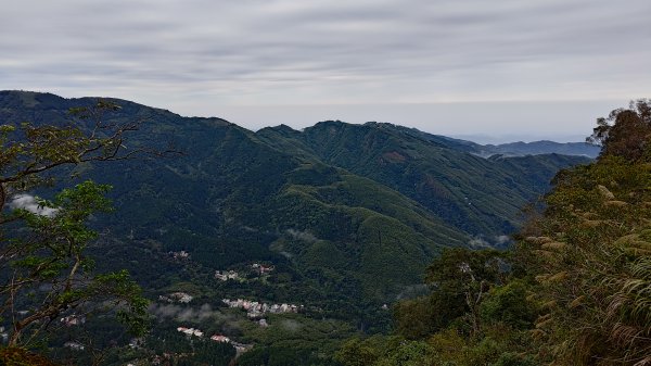 溪頭鳳凰山2387493