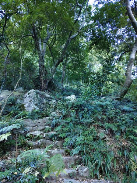 佳保台山-八仙山2910253