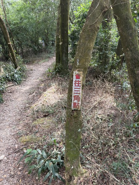 20251207笠頂山登山步道(第一登山口)2957664