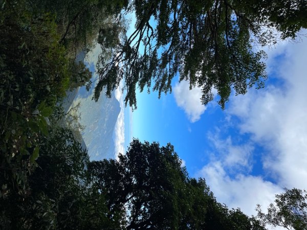 20231127_觀霧榛山步道（森遊竹縣）2763101