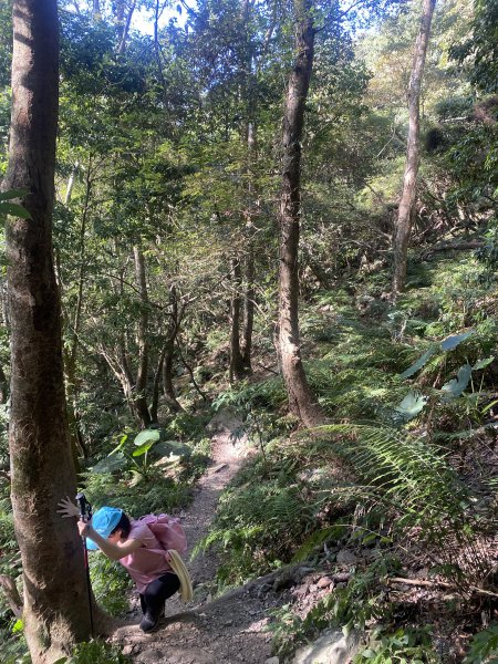 1111120泰安鄉鳥嘴山2672975