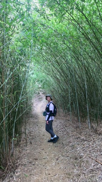 微笑山線大棟山系2838340