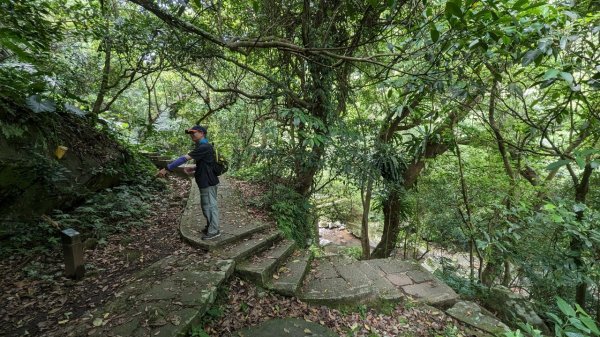 112.04.29走遍陽明山尋寶任務之坪頂古圳步道2137386