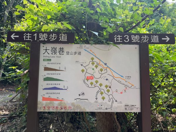 虎山岩區4條大嶺巷步道十二分埔山O繞逍遙輕鬆行3064028