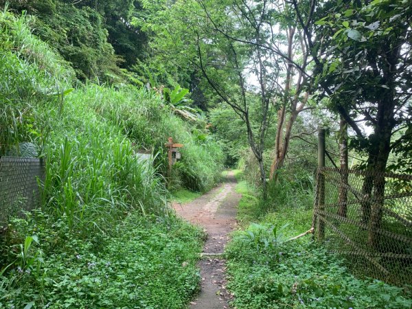 大崎棟古道、騎龍古道2772355