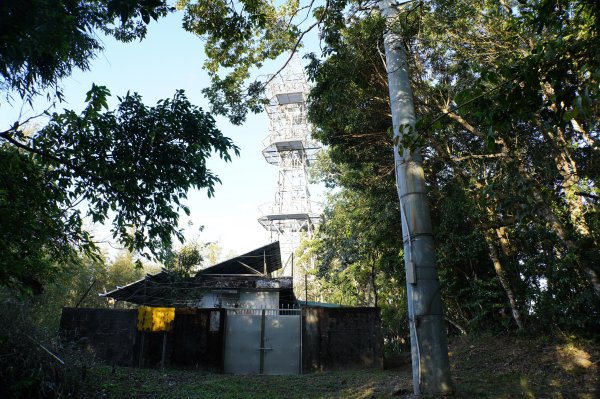 桃園 復興 牌子山、金平山2952201