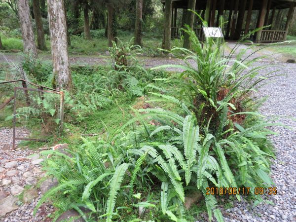 福山植物園353497