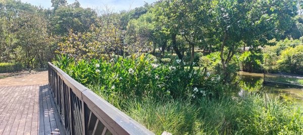 八德埤塘生態公園2890757