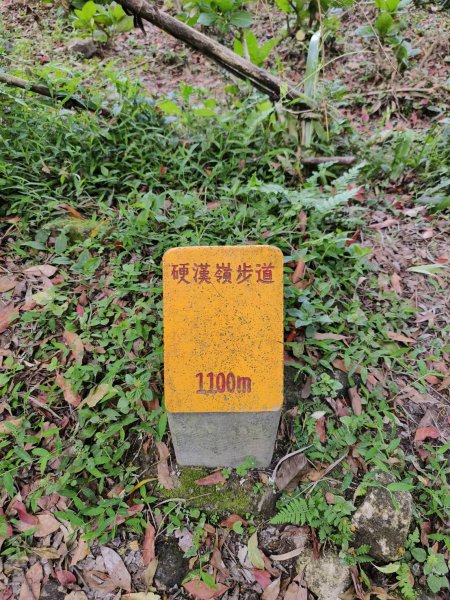 新北市-觀音山3064737