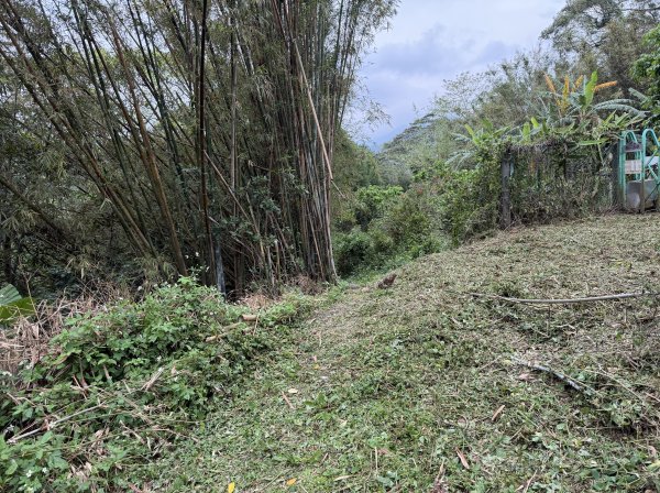 [樟之細路_第二大段RSA17] 2026_0328 飛鳳古道3026065