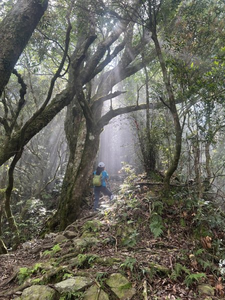 ~  塔  曼  山  ~2782785