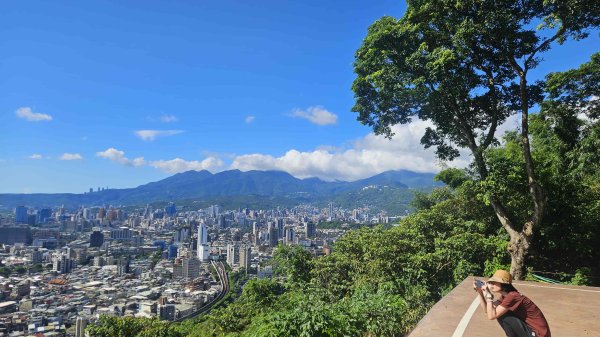 20250816劍潭山方舟森林-北眼平台-微風平台2864252