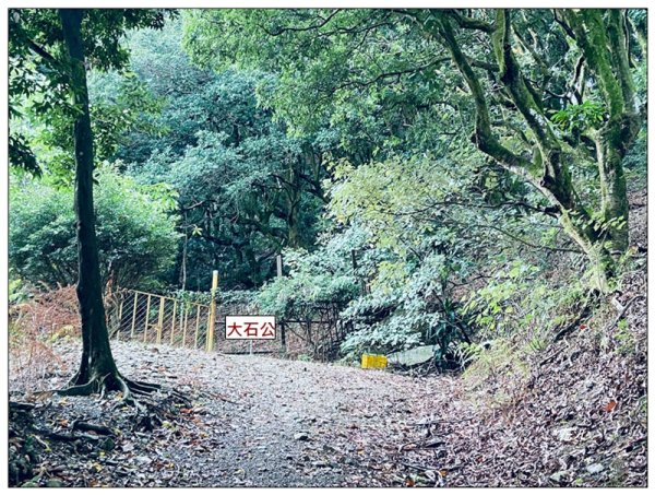 尾寮山、前峰、西峰、西北峰、主峰13基石連走3031951