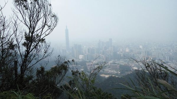 105.02.29南港山-四獸山步道198327