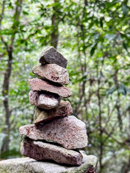 橫嶺山木馬古道輕鬆走2879026