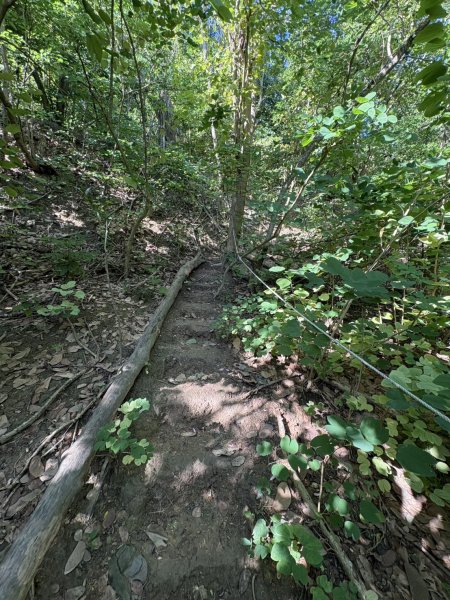 20251115壽山步道(元亨寺免費停車啟登)2938481