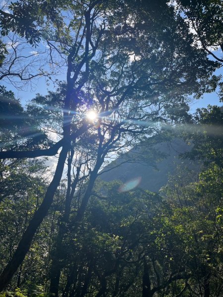 幸福五感森林癒2694311