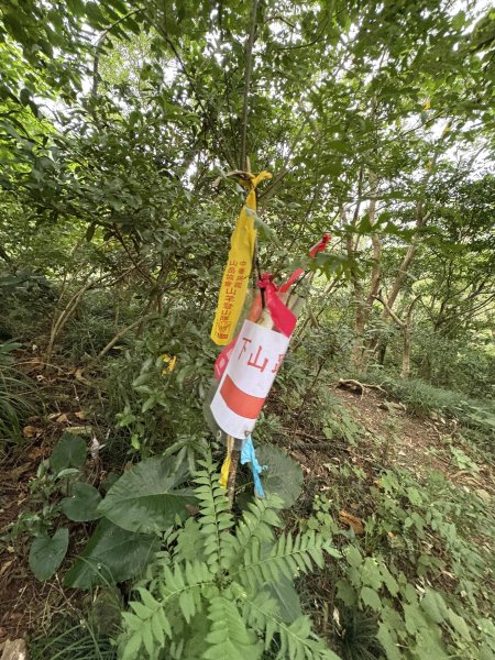 20251129女仍山步道2951773