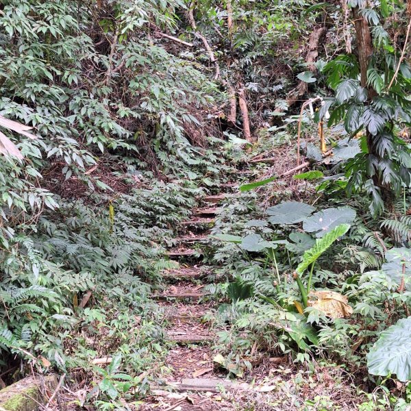 【小百岳52】後尖山完成!2705860