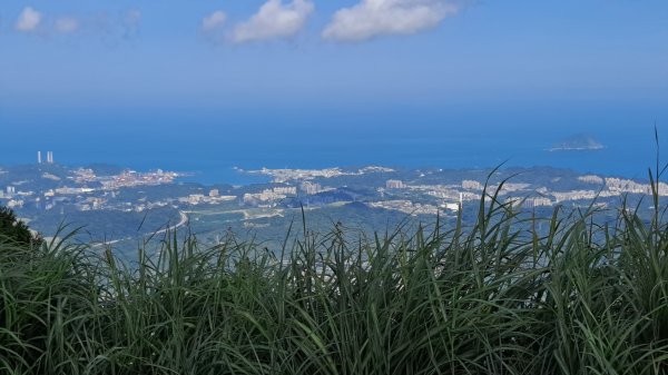 《老鷹怎麼這麼多》五分山_小百岳#101146496