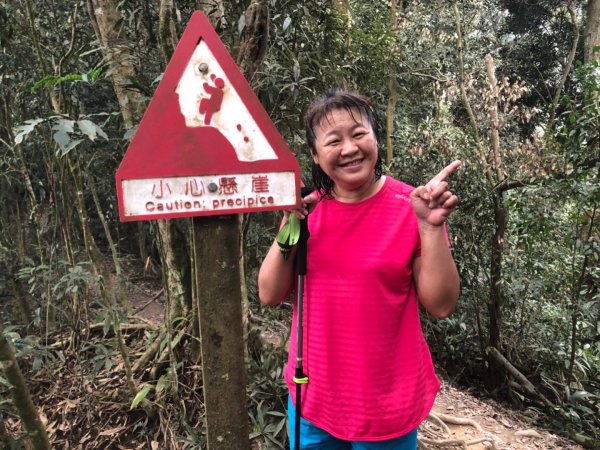 尾寮山登山步道1346282