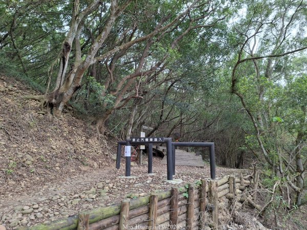 《台中》綠色隧道｜大肚環保公園登山步道O繞202604183038492