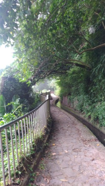 忠義山貴子坑步道510001