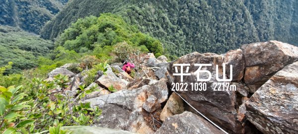 2022 1030 平石山W型（出220林道）