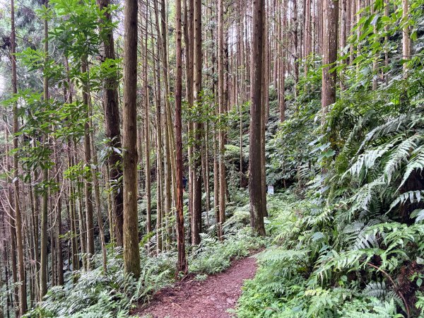 白蘭溪古道2846943