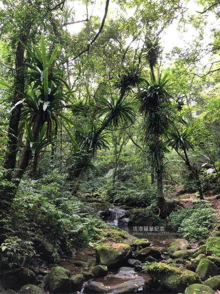 三貂嶺越嶺猴硐步道1035729