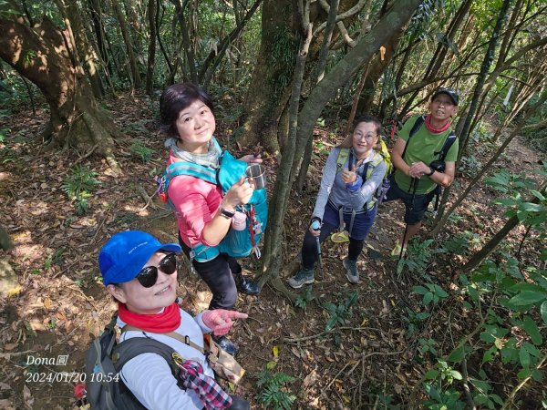 東勢大崙、東勢坑山、觀音湖山O走2986222