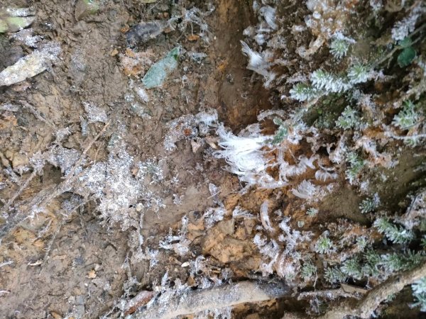 雪季北得拉曼2956415