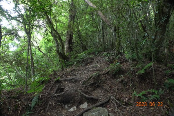 臺東 海瑞 戒茂斯山2193167