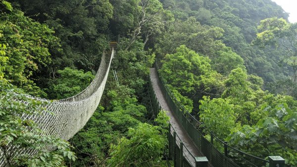 小錐麓步道封面