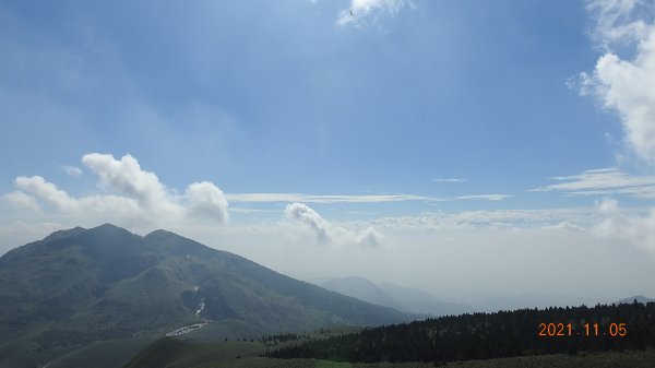 秋高氣爽芒花季 - 陽明山再見雲海1503926