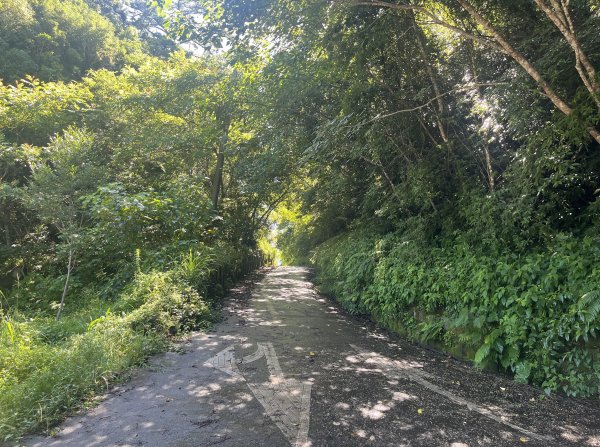 2025_0621 霞喀羅國家步道(養老端)2819851