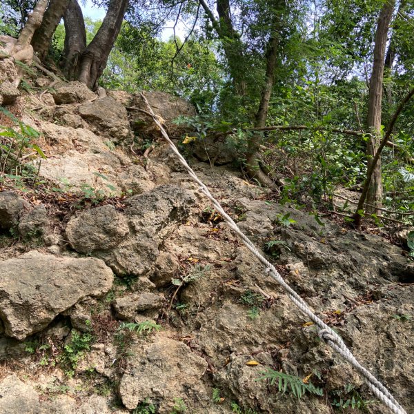 柴山，一年四季3085753