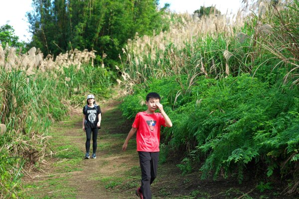 貂山古道與牡丹山O型2397862