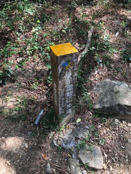 2020.03.08里龍山878282