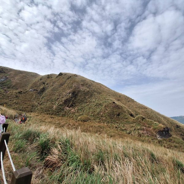 2025台北大縱走-小油坑到風櫃口-第三段完成!2755564