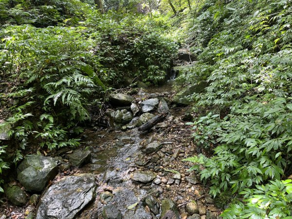 [淡蘭古道] 2025_0802 南路第四段2850903