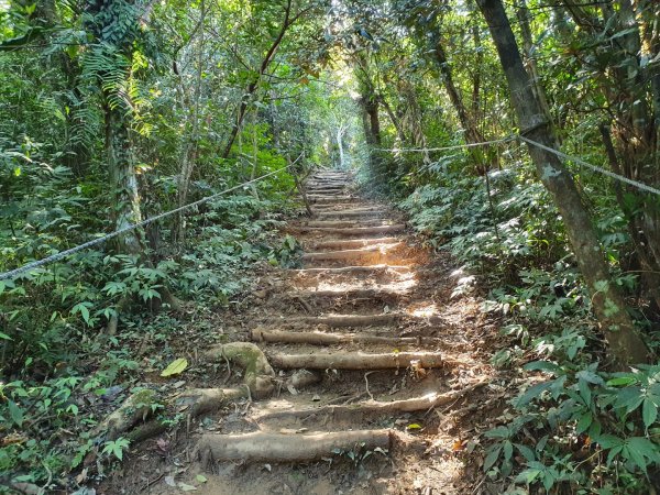 帽子山步道1237727