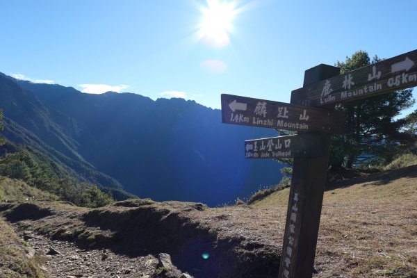 玉山被遺忘的角落_塔塔加三山1547072