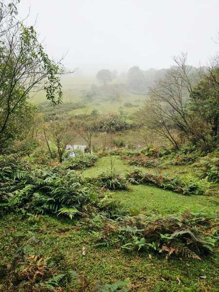 2025臺北大縱走第三段：小油坑至風櫃口2973477