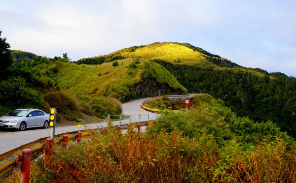 鳥山。不鳥 ~ 合歡西峰439615