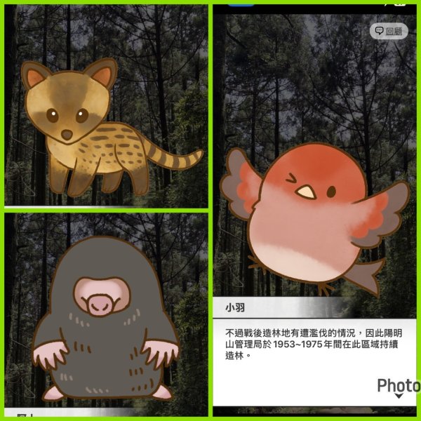 補個大💙藍天-二輪陽明山-尋印者-神秘古蹟探險12條步道3010520